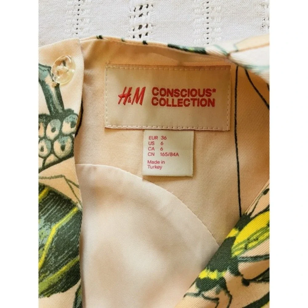 H&M conscious collection
